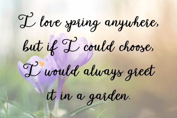 Garden Whimsy Font preview 4