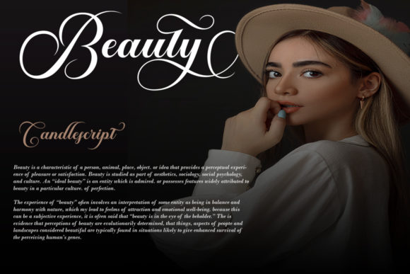 Brailganta Script Font preview 2