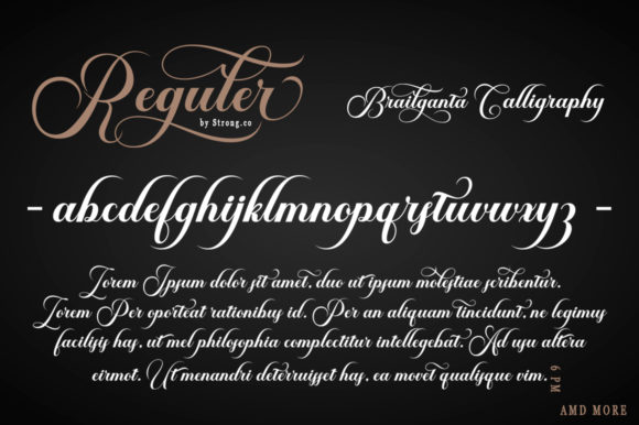 Brailganta Script Font preview 3