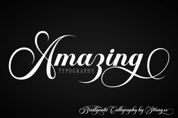 Brailganta Script Font preview 4
