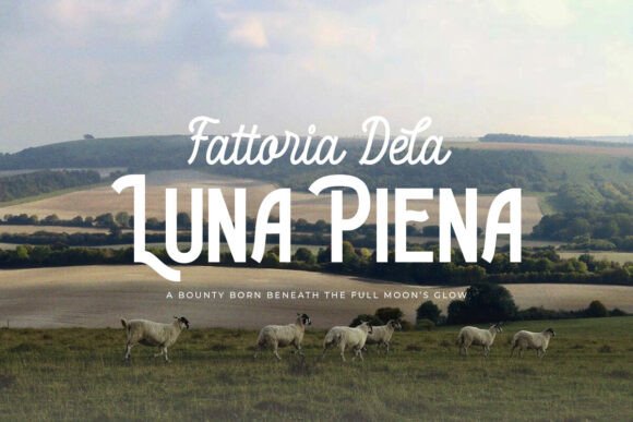 Gianpaolo Palmeri Duo Font preview 2