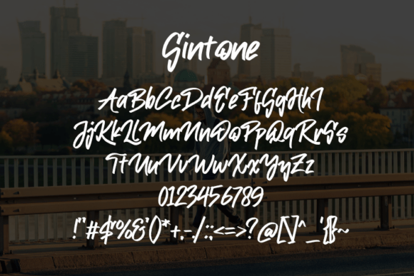 Gintone Font preview 2