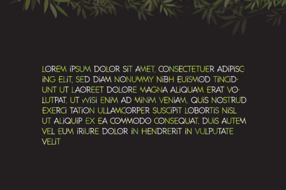Bamboo Font preview 3