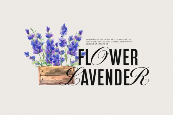 Glamer Font preview 4