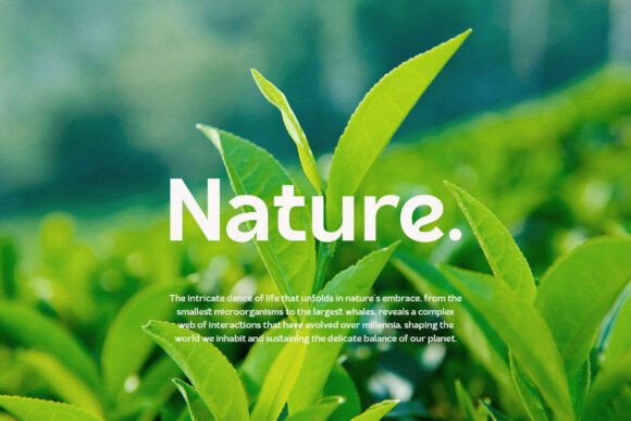Gobitta Font preview 3