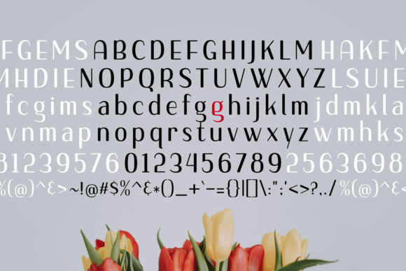 Gojet Font preview 4