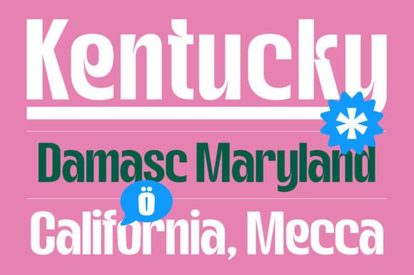 Gotkin Bold Font preview 4