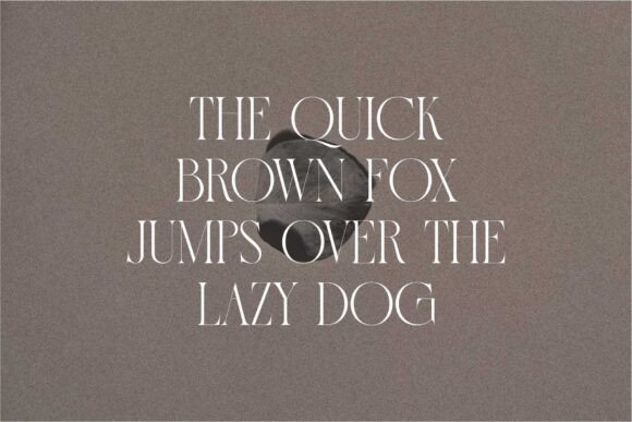 Grache Font preview 3