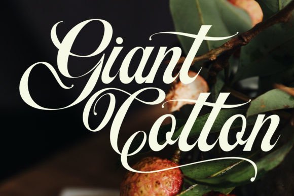 Artheria Font preview 2