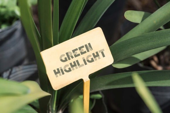 Green Highlight Font preview 4