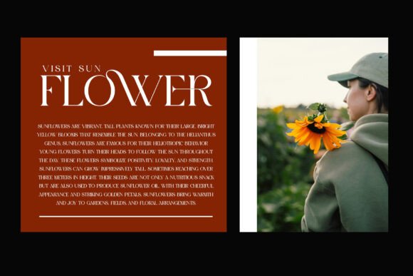 Gromer Font preview 2