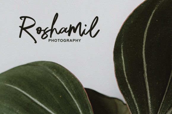 Hafine Brush Font preview 3