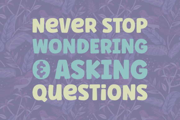 Ask Why Font preview 3