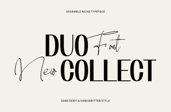 Assemble Niche Font preview 2