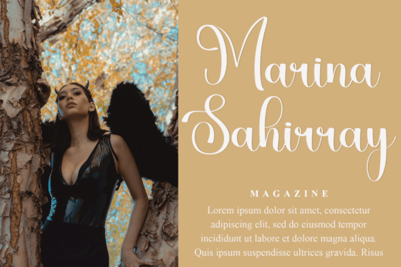 Harmony Signature Font preview 2