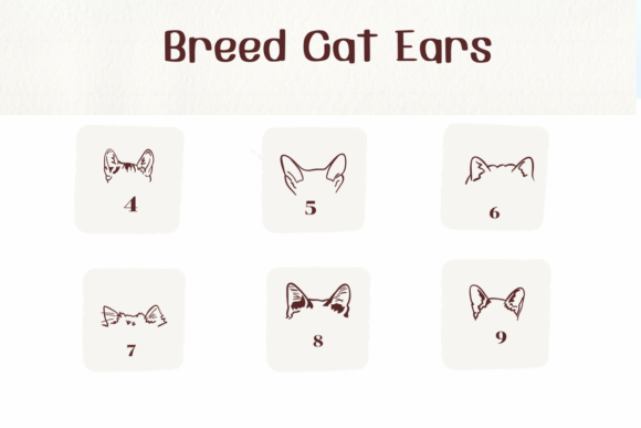 Breed Cat Ears Font preview 4