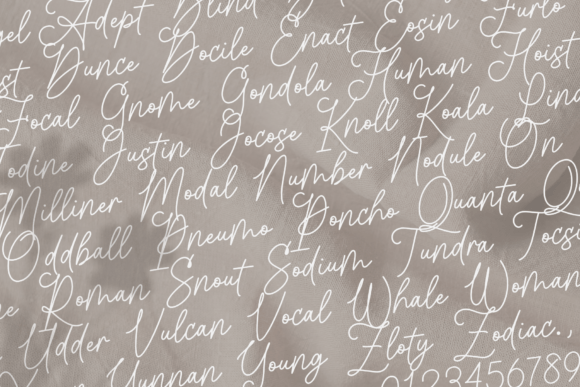 Astutely Font preview 3