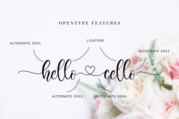 Hello Cello Font preview 2