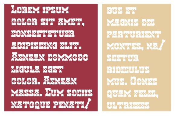 Hen Basket Homeland Font preview 4