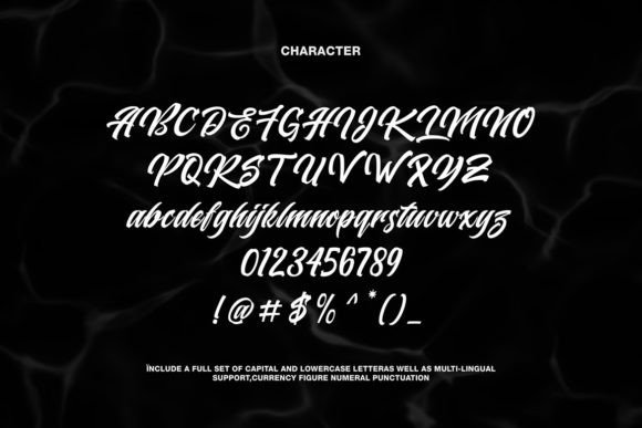 Brigade Script Font preview 3