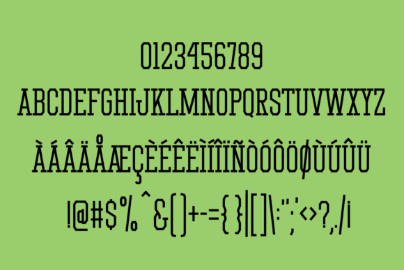 Home Field Font preview 4