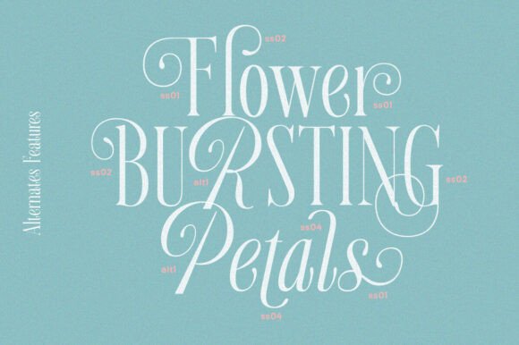 Aurora Moonlight Font preview 4