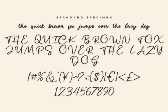 Austin Ronalle Font preview 3