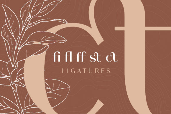 Houstiq Font preview 4