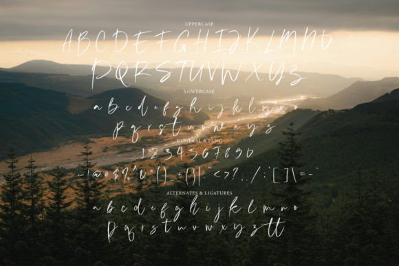 Bright Purple Font preview 4