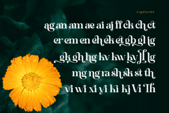 Bright Vintage Font preview 4