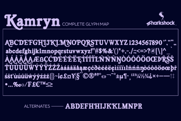 Kamryn Font preview 4