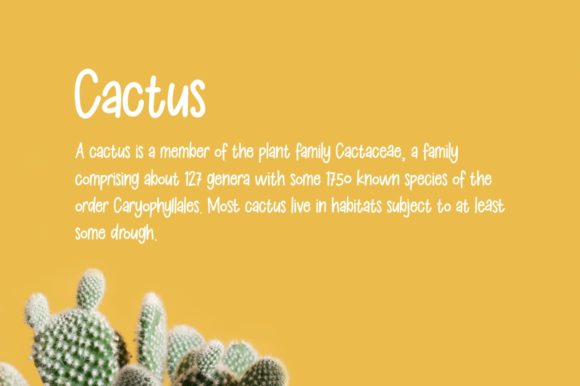 Kids Note Font preview 2