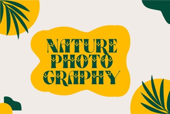Bristol Font preview 3