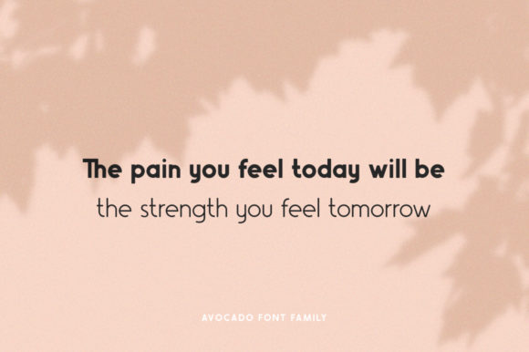 Avocado Family Font preview 4