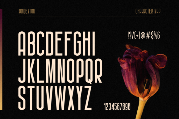 Kondenton Font preview 3