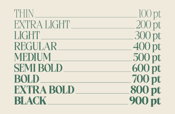 Ladinta Font preview 3