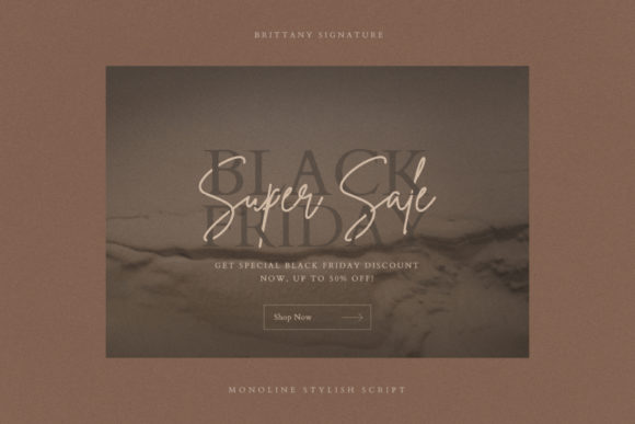 Brittany Signature Script Font preview 2