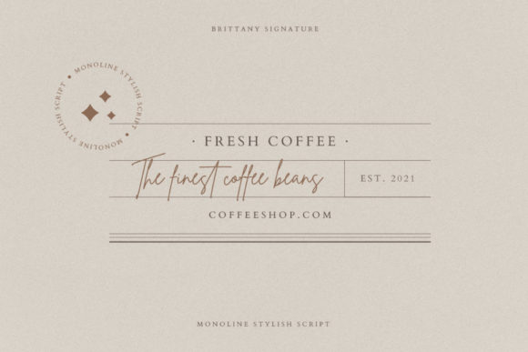 Brittany Signature Script Font preview 3