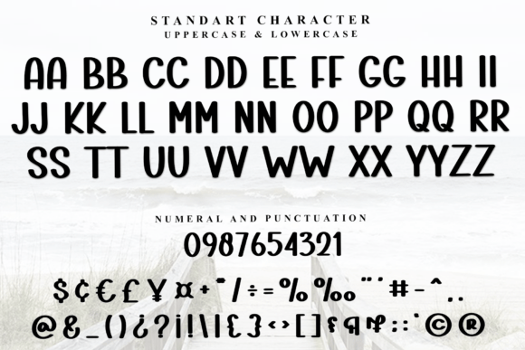 Launching Product Font preview 4