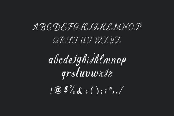 Levenia Font preview 4