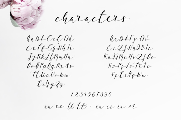 Lil'Baby Script Font preview 2