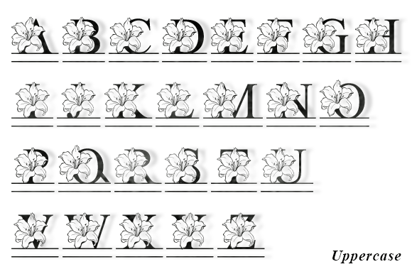 Lilian Flower Monogram Font preview 2