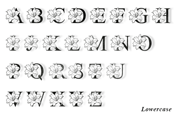Lilian Flower Monogram Font preview 3