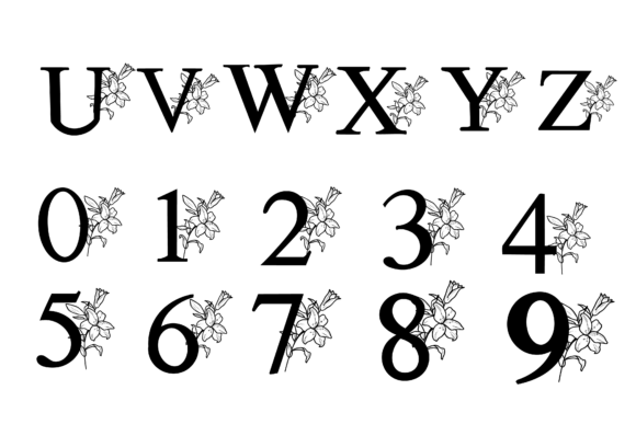 Lily Font preview 3