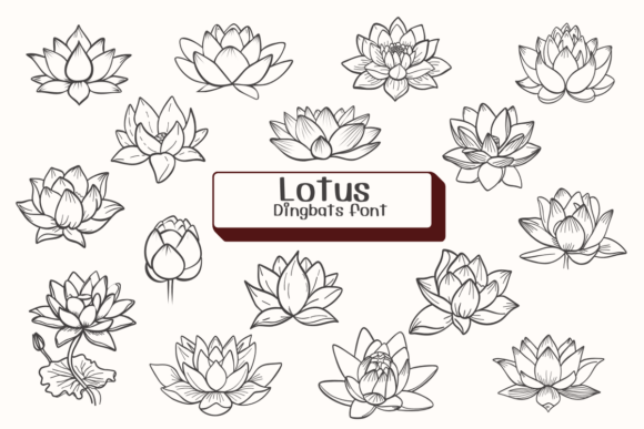 Lotus Font