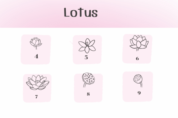 Lotus Font preview 3