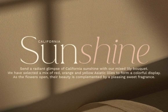Lovely Branding Font preview 3