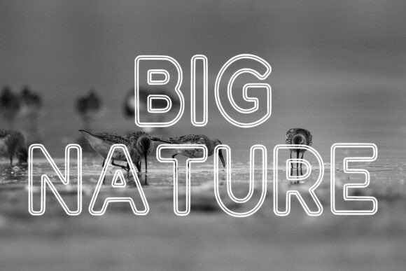 Lucky Outline Font preview 2