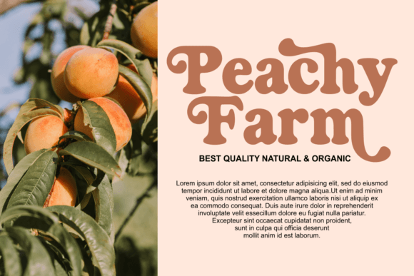 Magical Peach Font preview 3