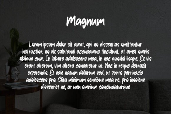 Magnum Font preview 3